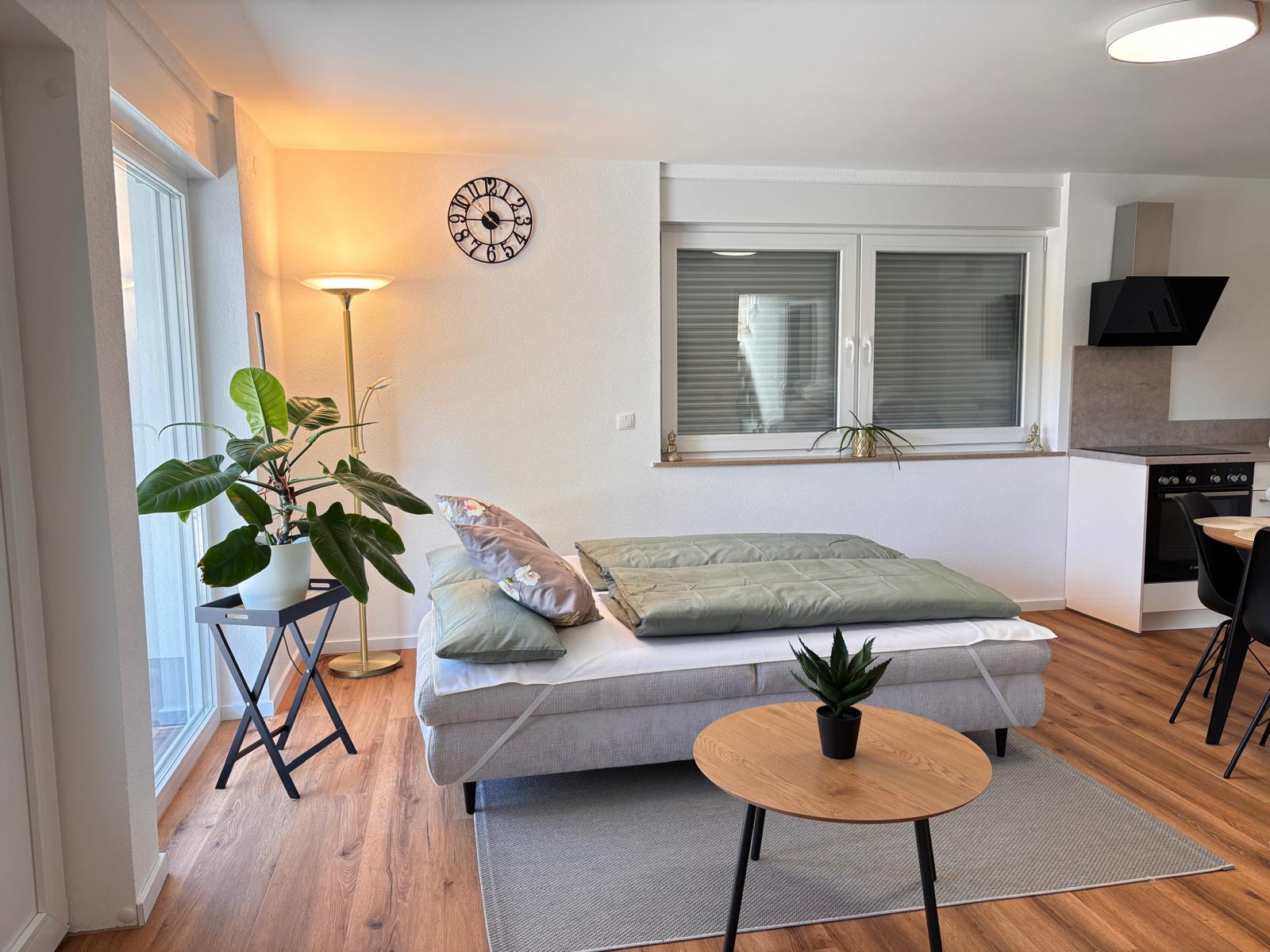 Heller Wohn- und Schlafbereich mit Küchenzeile der Ferienwohnung